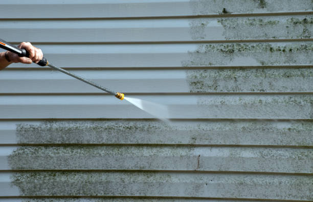 Best Roof Washing  in Fort Hunt, VA